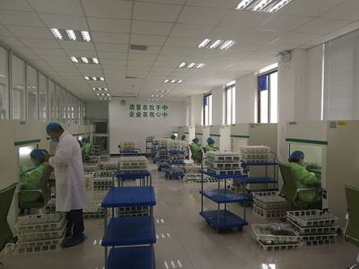 夏莊、賀店工作隊(duì)赴蘭考考察構(gòu)樹(shù)產(chǎn)業(yè)扶貧項(xiàng)目 技術(shù)推廣助力鄉(xiāng)村振興